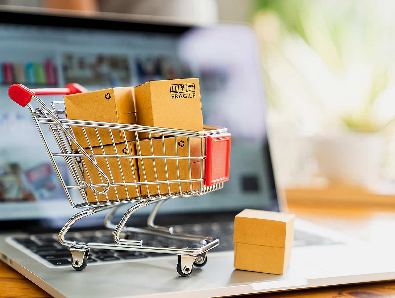 E- Ticaret Yönetimi 1 Shape Image